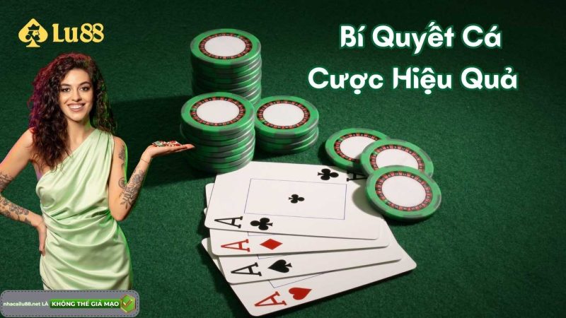 Bí Quyết Cá Cược Hiệu Quả Dành Cho Người Mới Tại Lu88