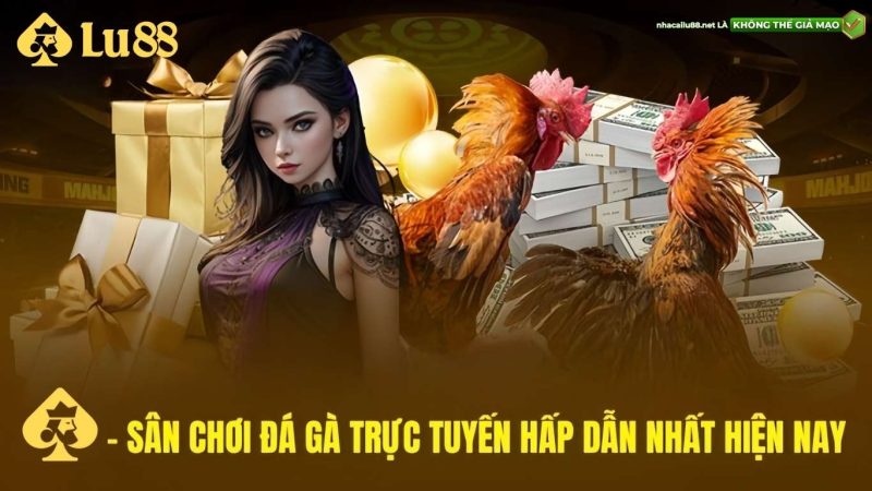 Đôi nét về bộ môn Đá gà Lu88