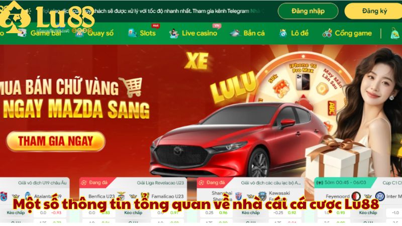 Một số thông tin tổng quan về nhà cái cá cược Lu88