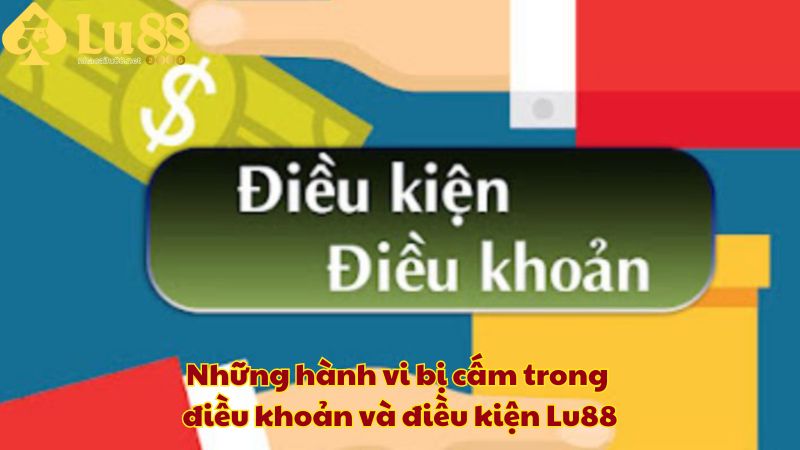 Những hành vi bị cấm trong điều khoản và điều kiện Lu88